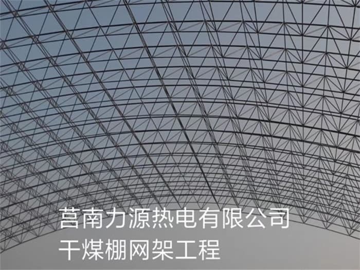 上海力源热电有限公司干煤棚网架工程